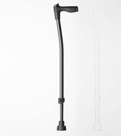 Walking cane